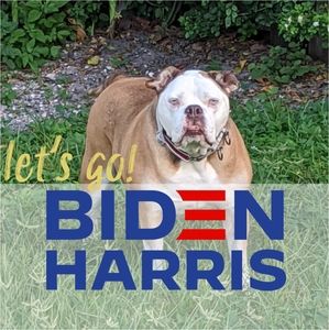 Meet your Posher, Jodi